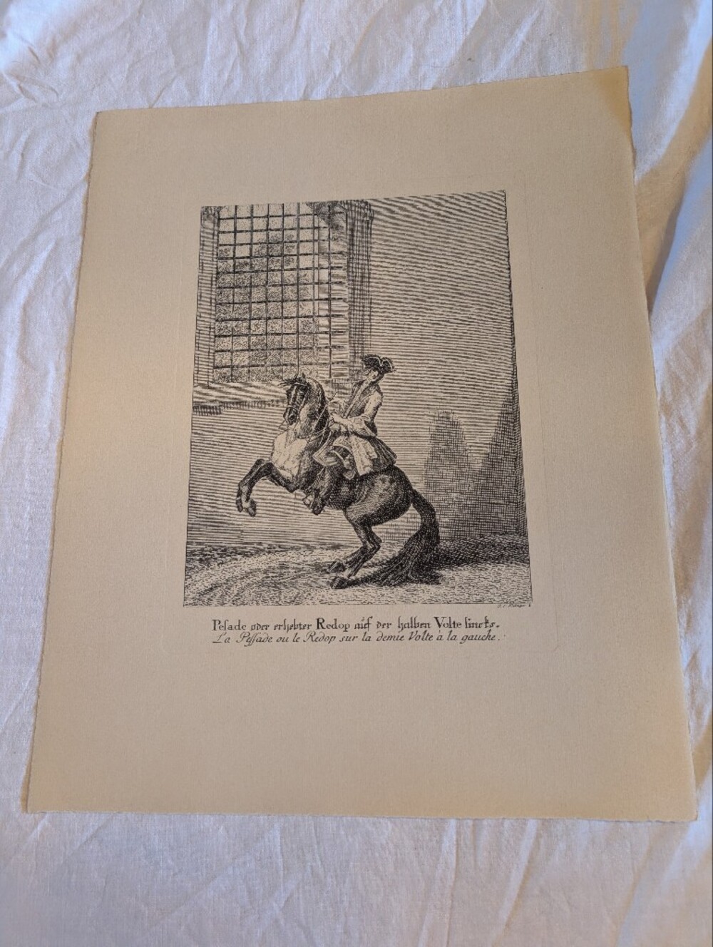 2/40$ Vintage Black & White Equestrian Engraving Print